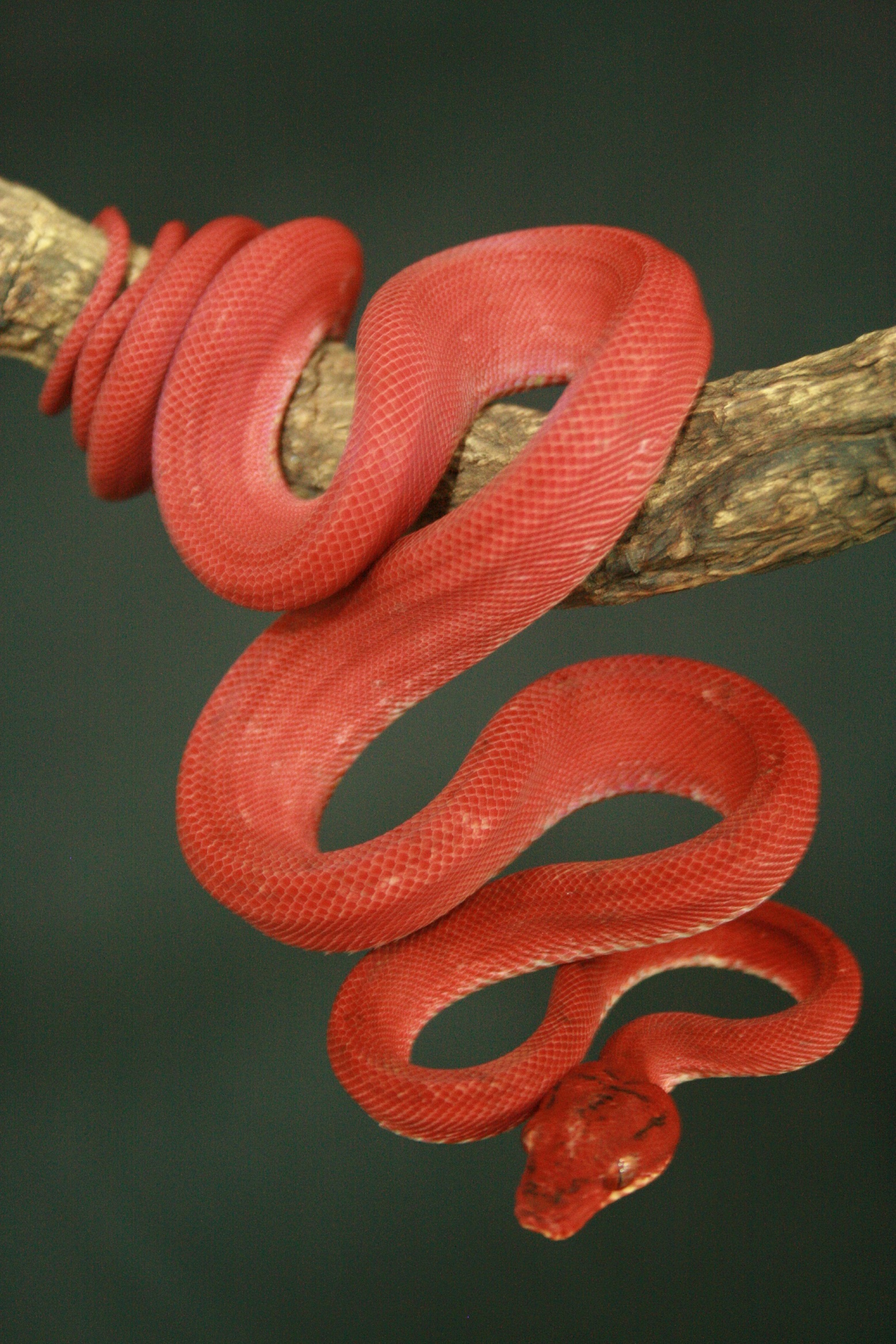 CH12#32 - Holdback.JPG