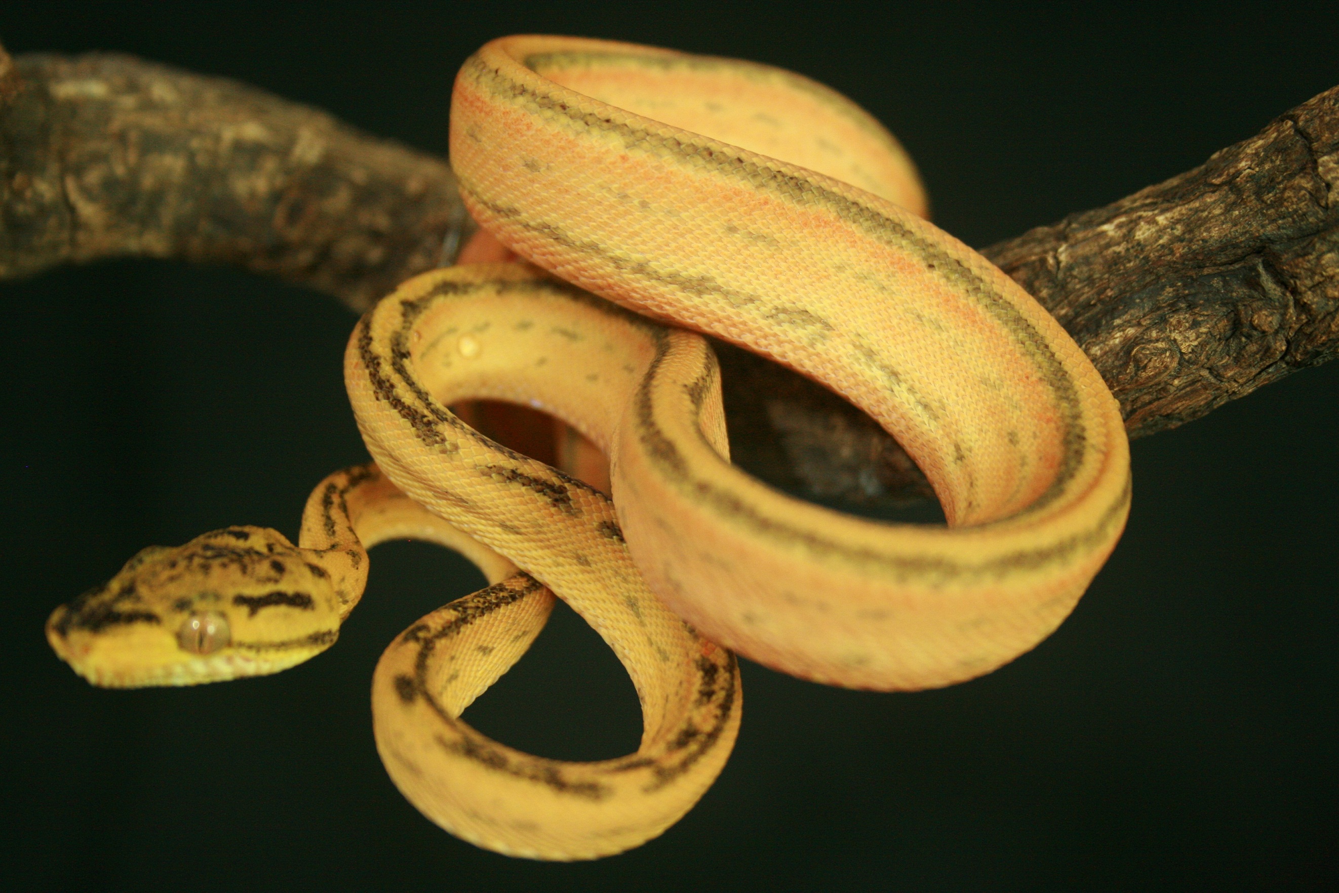 CH12#35 - Holdback.JPG