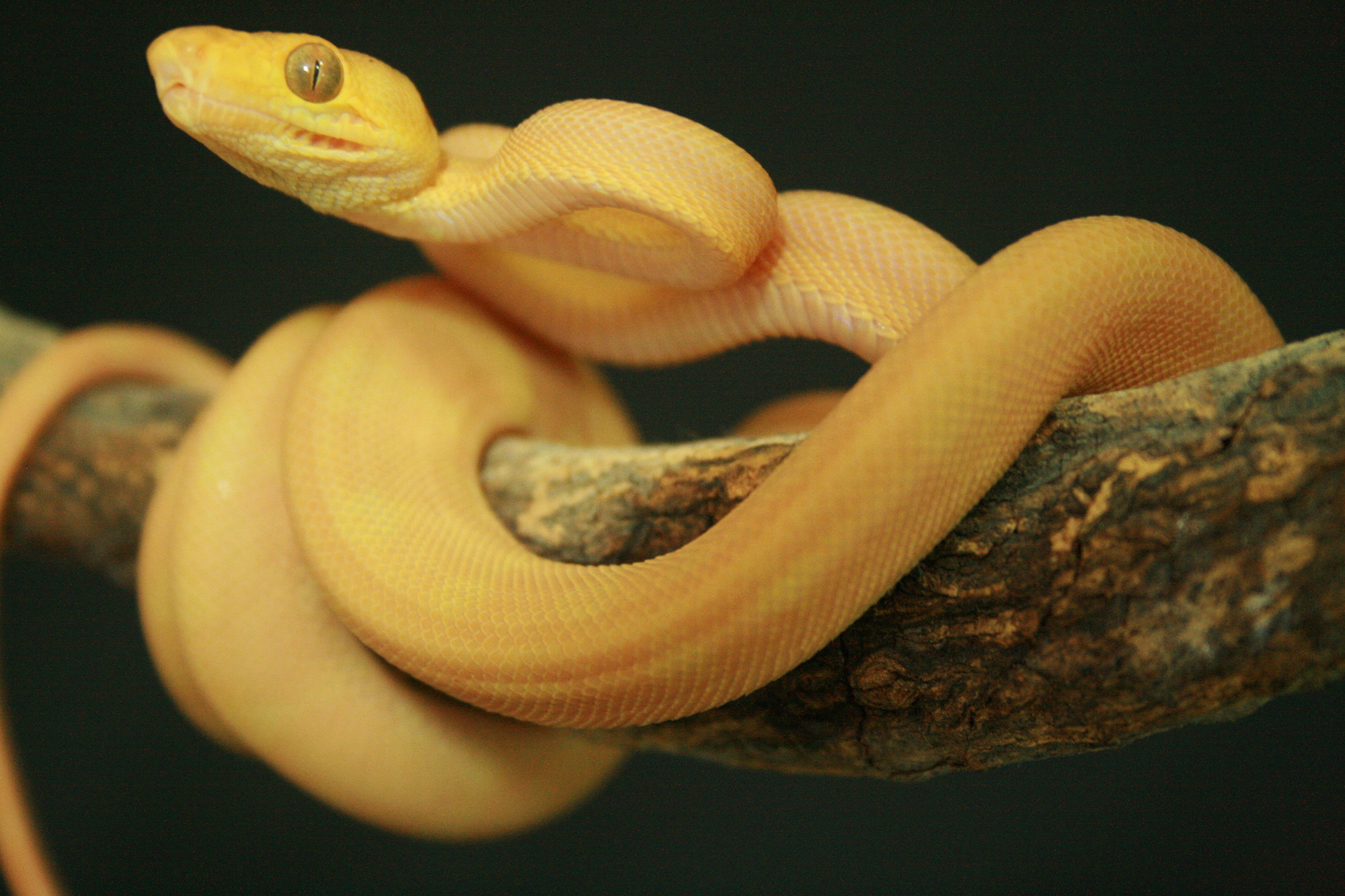 CH12#47 - Holdback.JPG