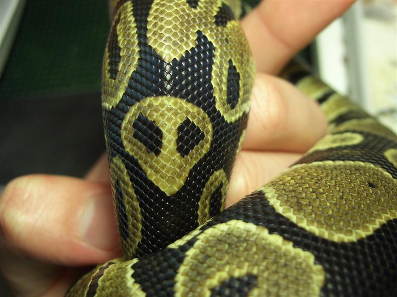 CIMG0075 (Medium).JPG