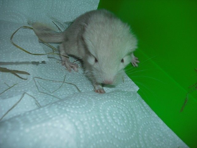 CIMG3829 [640x480].JPG