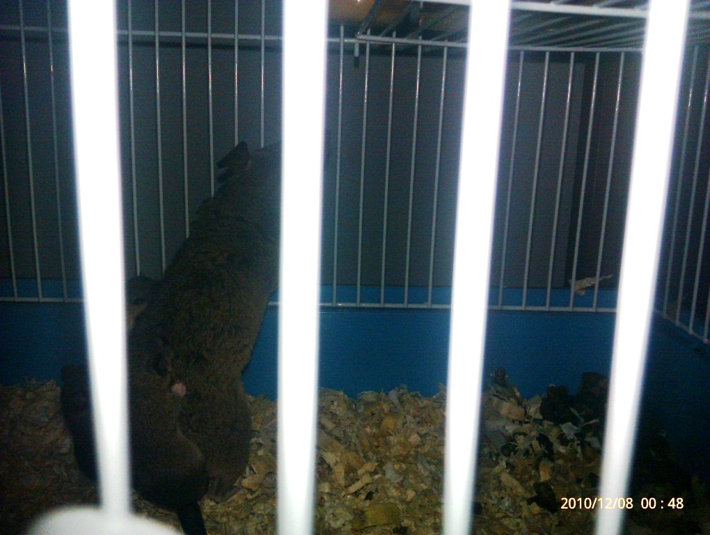 con las peques 22222.jpg