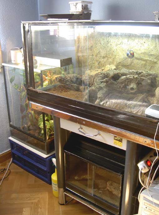 conjunto terrarioss.jpg