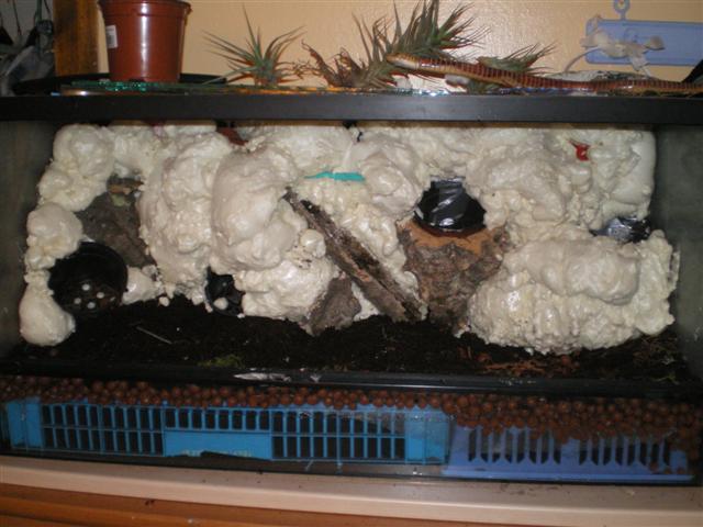 Construccio del vivari 039 (Small).jpg