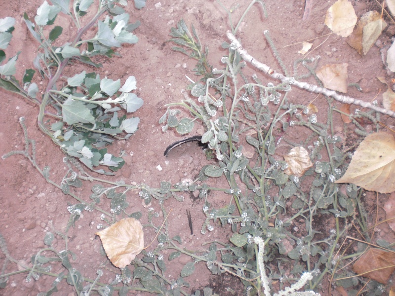 Construcción instalaciones exteriores