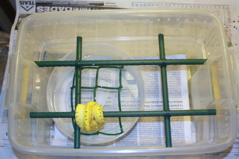 contenedor para babys [800x600].jpg