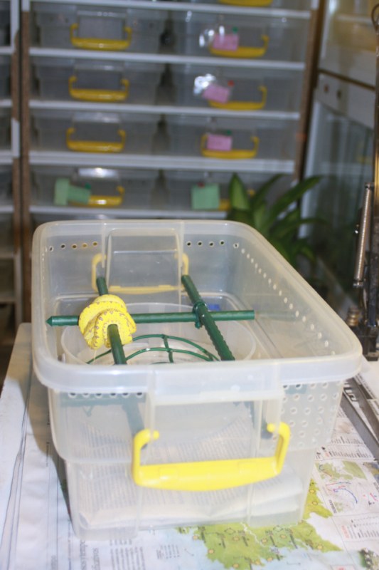 contenedor para babys f2 [800x600].jpg