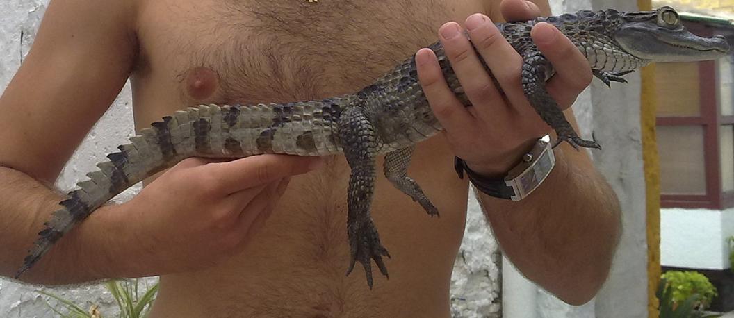 Copia de 31082010119.jpg