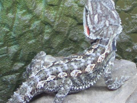 Copia de 9sept05_10.JPG