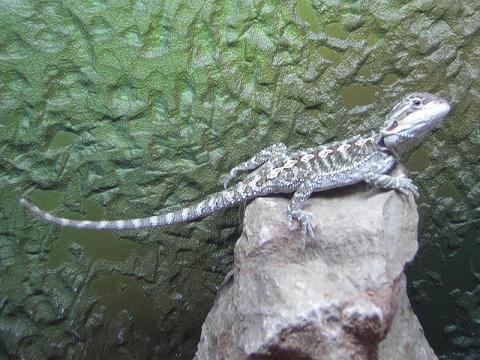 Copia de 9sept05_3.JPG