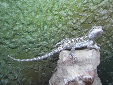 Copia de 9sept05_4.JPG