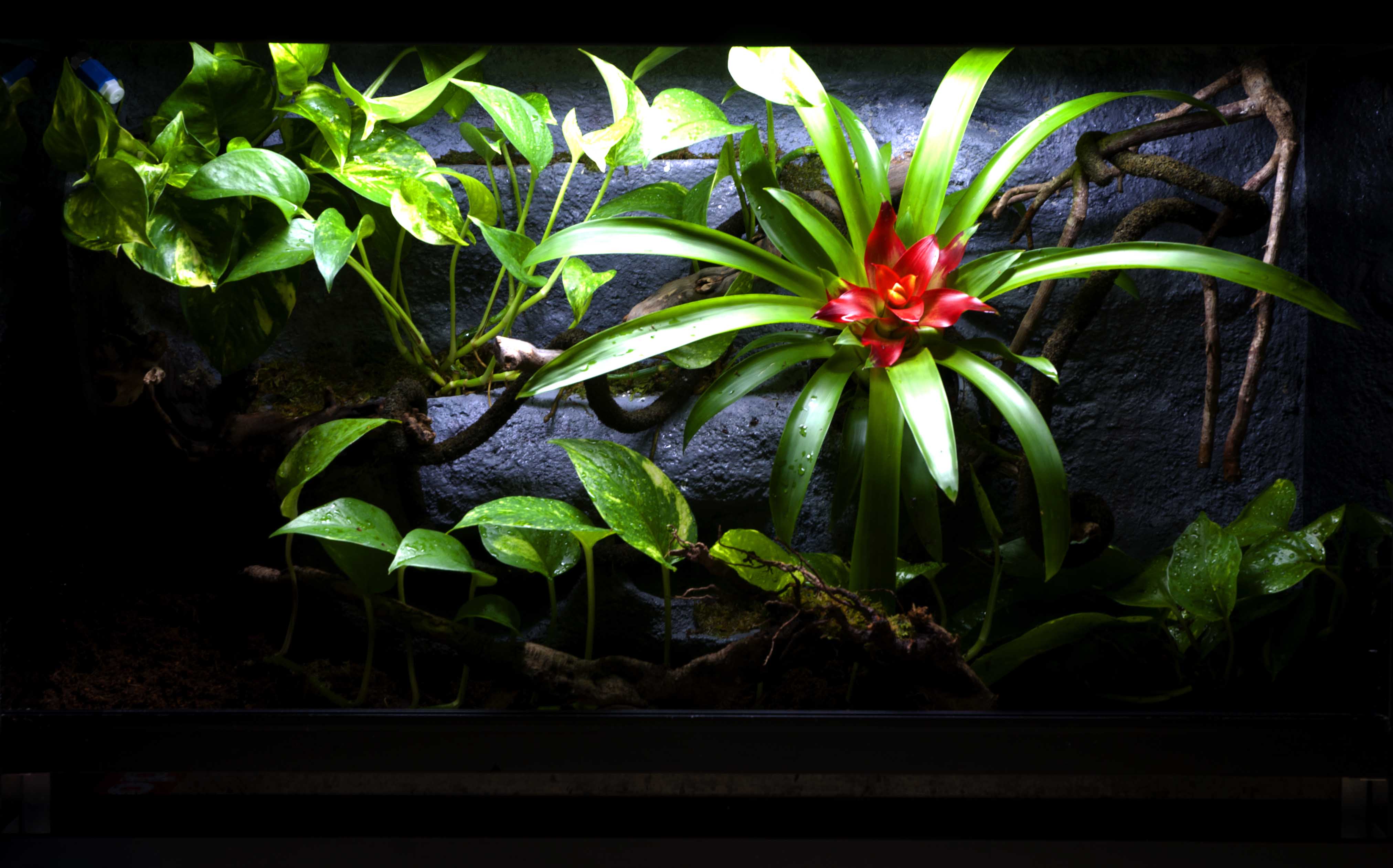 Copia de _DSC4348.jpg