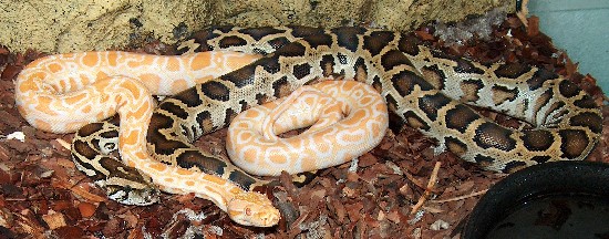 Copia de Copia de HPIM0361.JPG