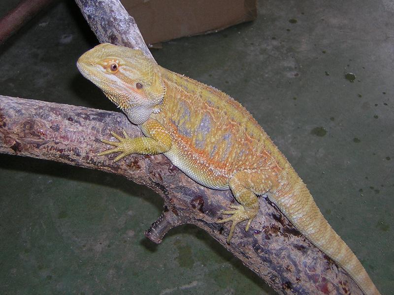 Copia de DSCN0639.JPG