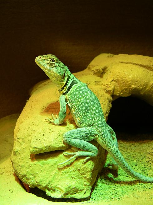 Copia de Imagen 407.jpg