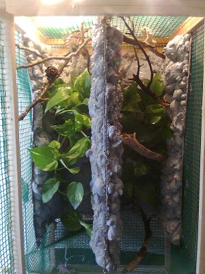 Copia de Imagen0018.jpg