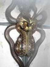 Copia de IMG_0813.JPG