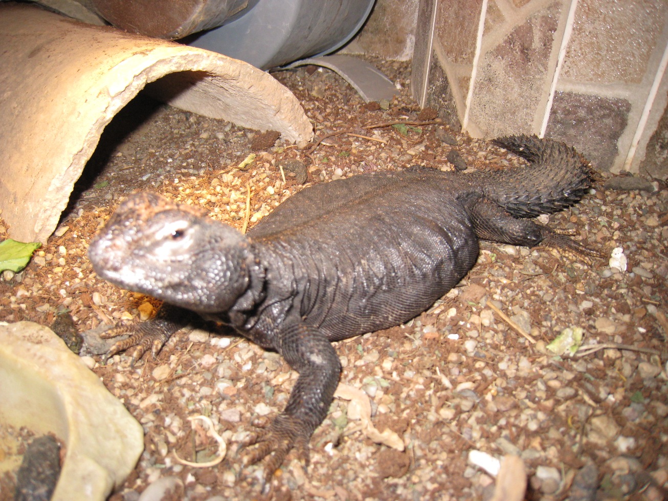 Copia de IMG_3091.JPG