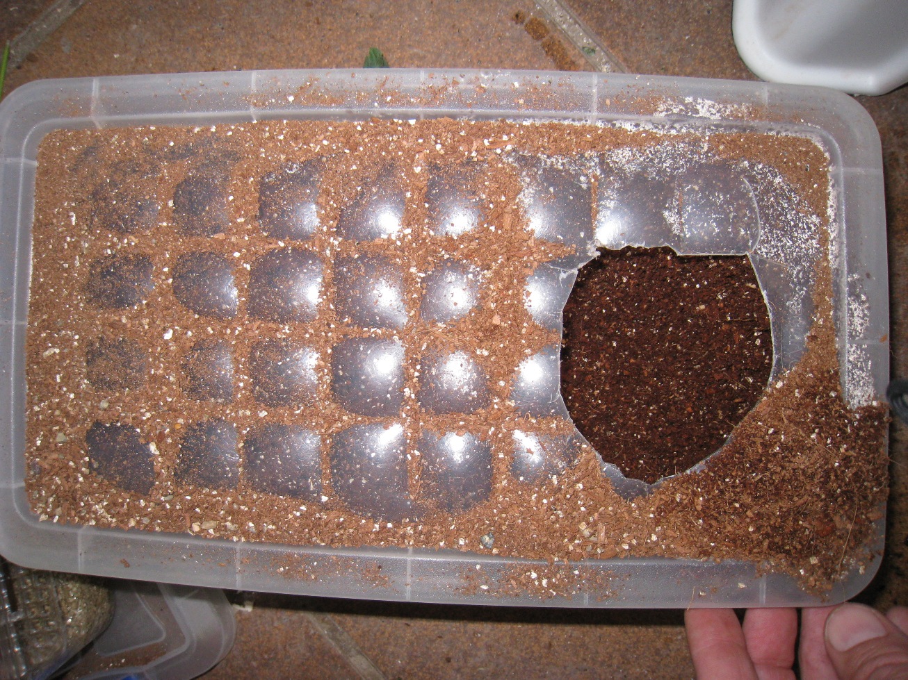 Copia de IMG_3092.JPG