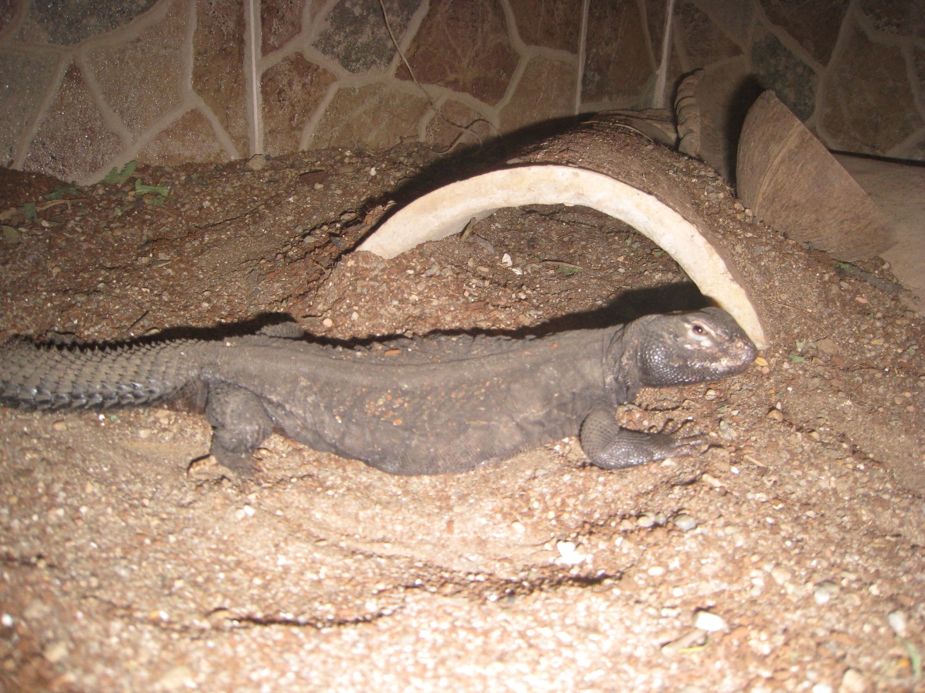 Copia de IMG_3096.JPG