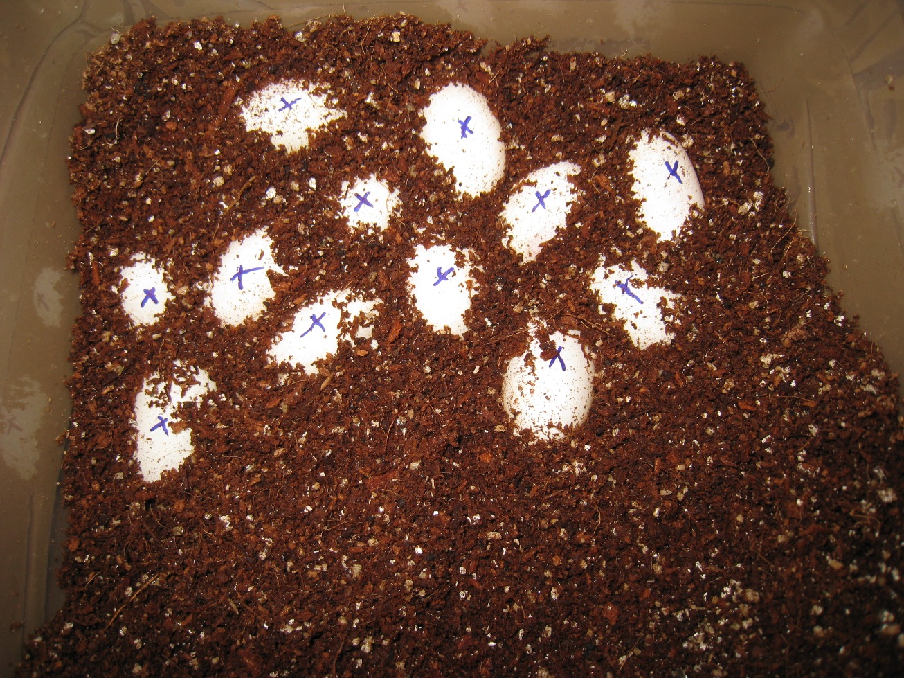 Copia de IMG_3100.JPG