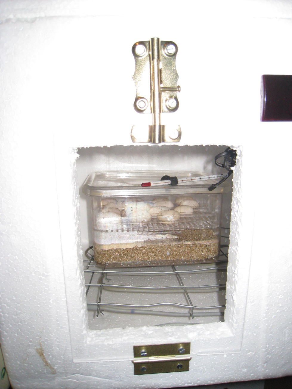 Copia de IMG_3109.JPG