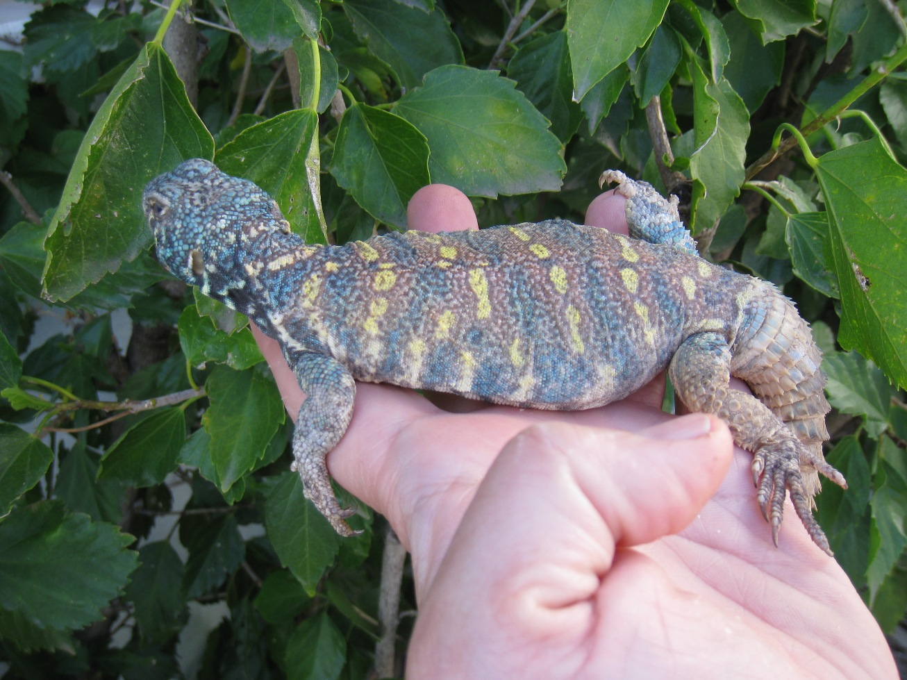 Copia de IMG_3119.JPG