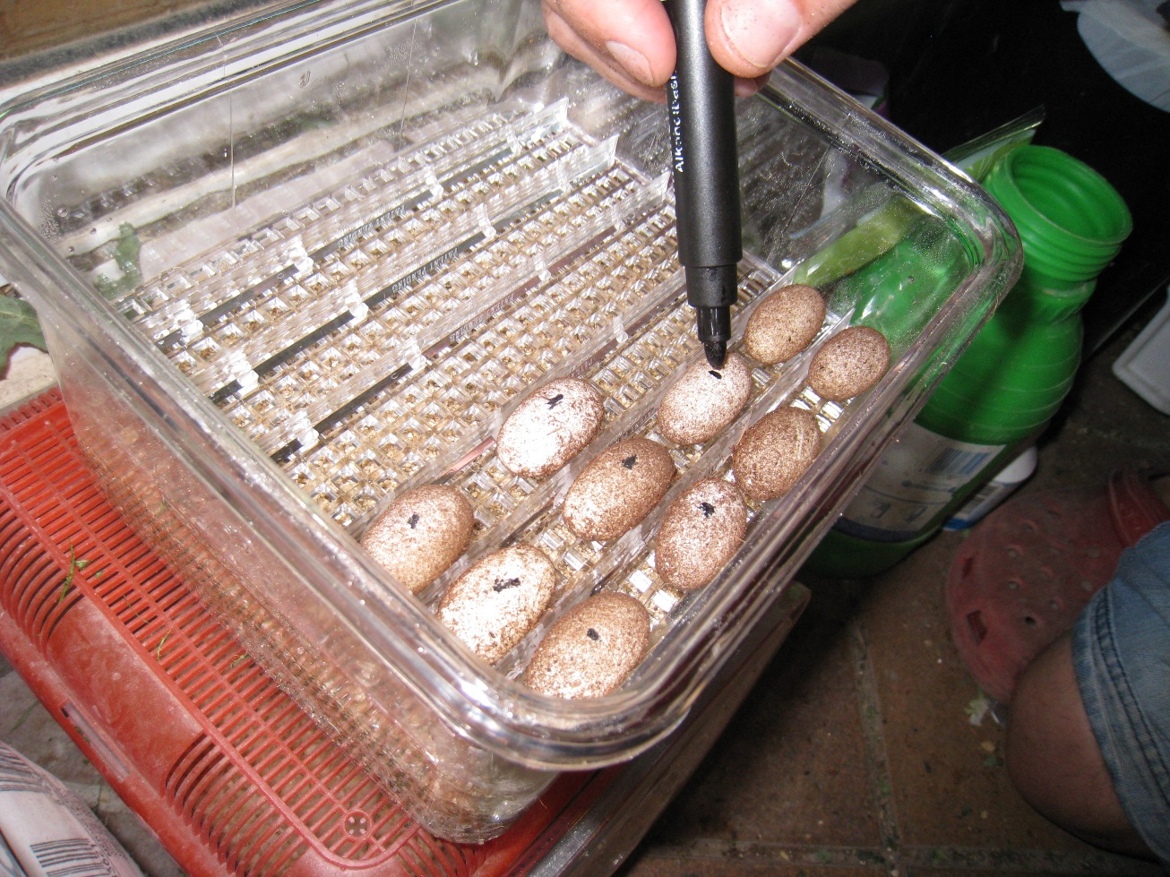 Copia de IMG_3150.JPG