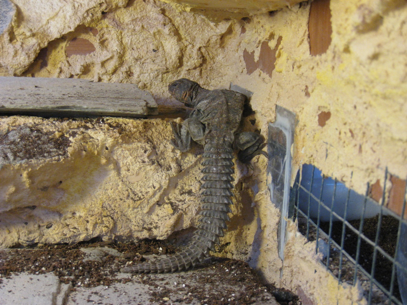 Copia de IMG_3154.JPG