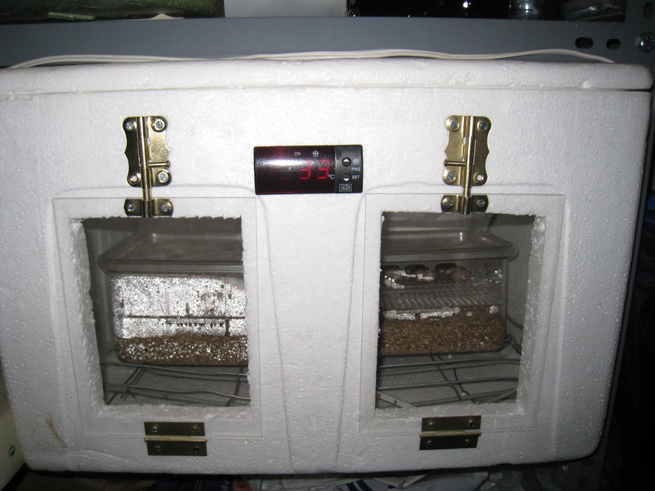 Copia de IMG_3167.JPG