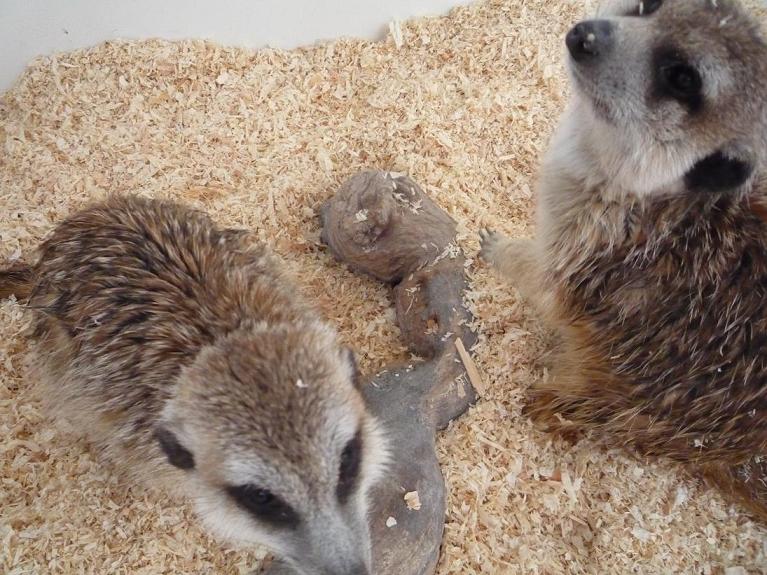 Copia de P1000755.JPG