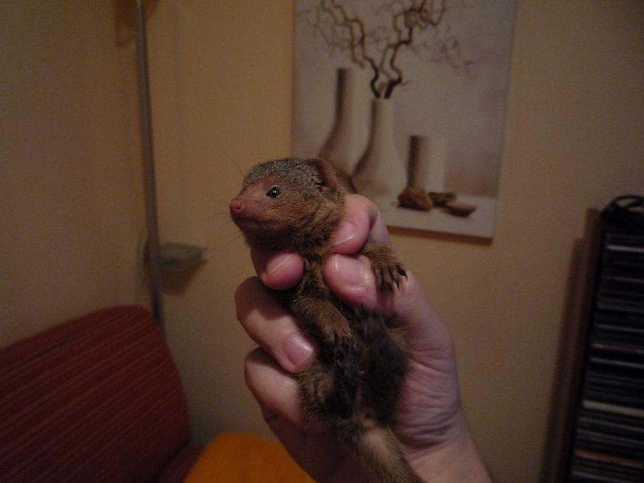 Copia de P1000949.JPG