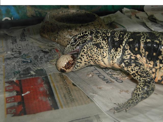 Copia de PICT3041.JPG