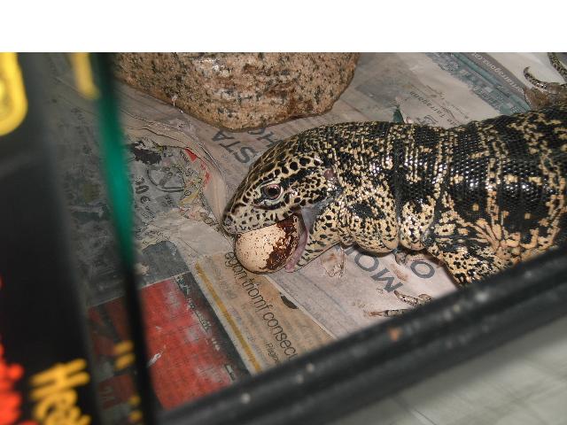 Copia de PICT3042.JPG