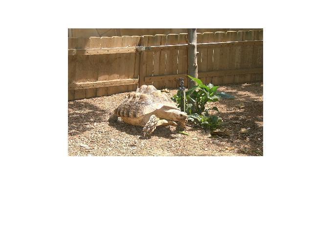 Copia de PICT3567.JPG