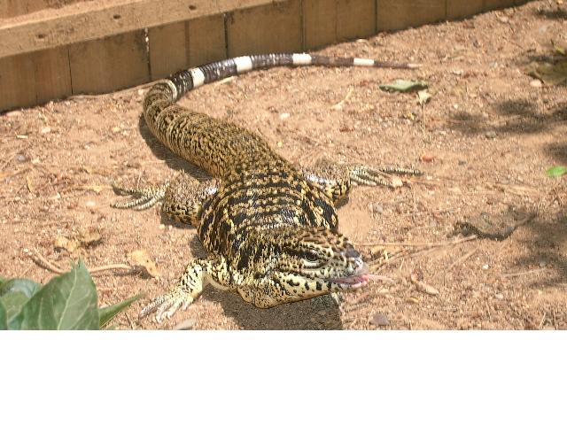 Copia de PICT3730.JPG