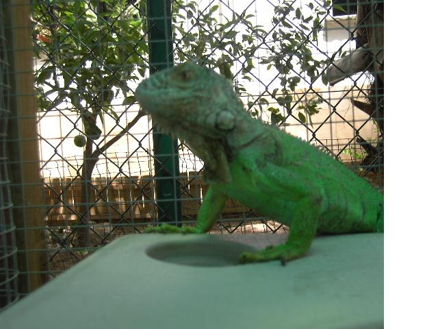 Copia de PICT3739.JPG