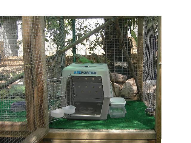 Copia de PICT3741.JPG