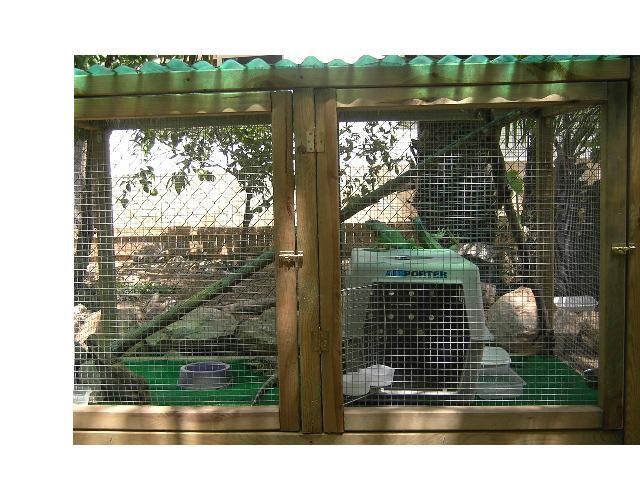 Copia de PICT3747.JPG