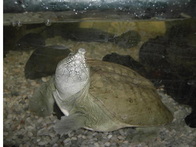 Copia de PICT4785.JPG