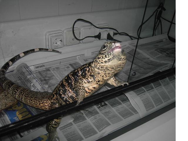 Copia de PICT5157.JPG