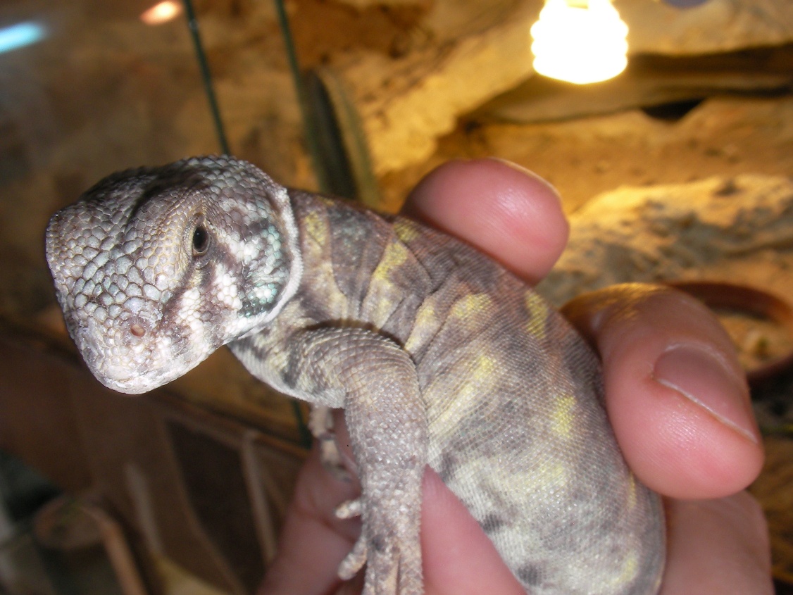 Copia de SANY0047.JPG