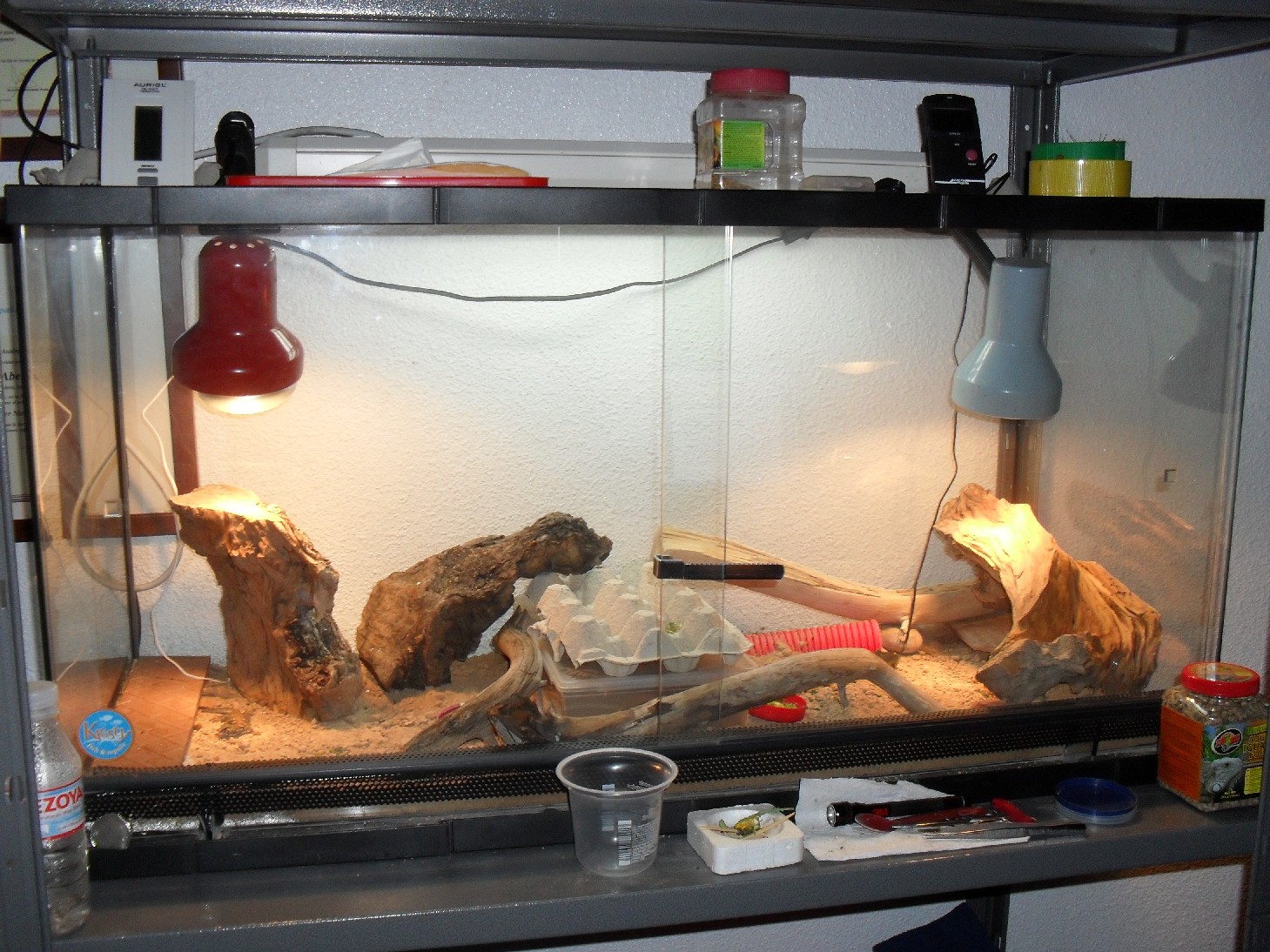 Copia de SDC10097.JPG