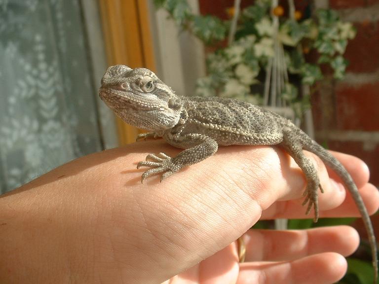 Copia de Yo y PogOna! (9).JPG