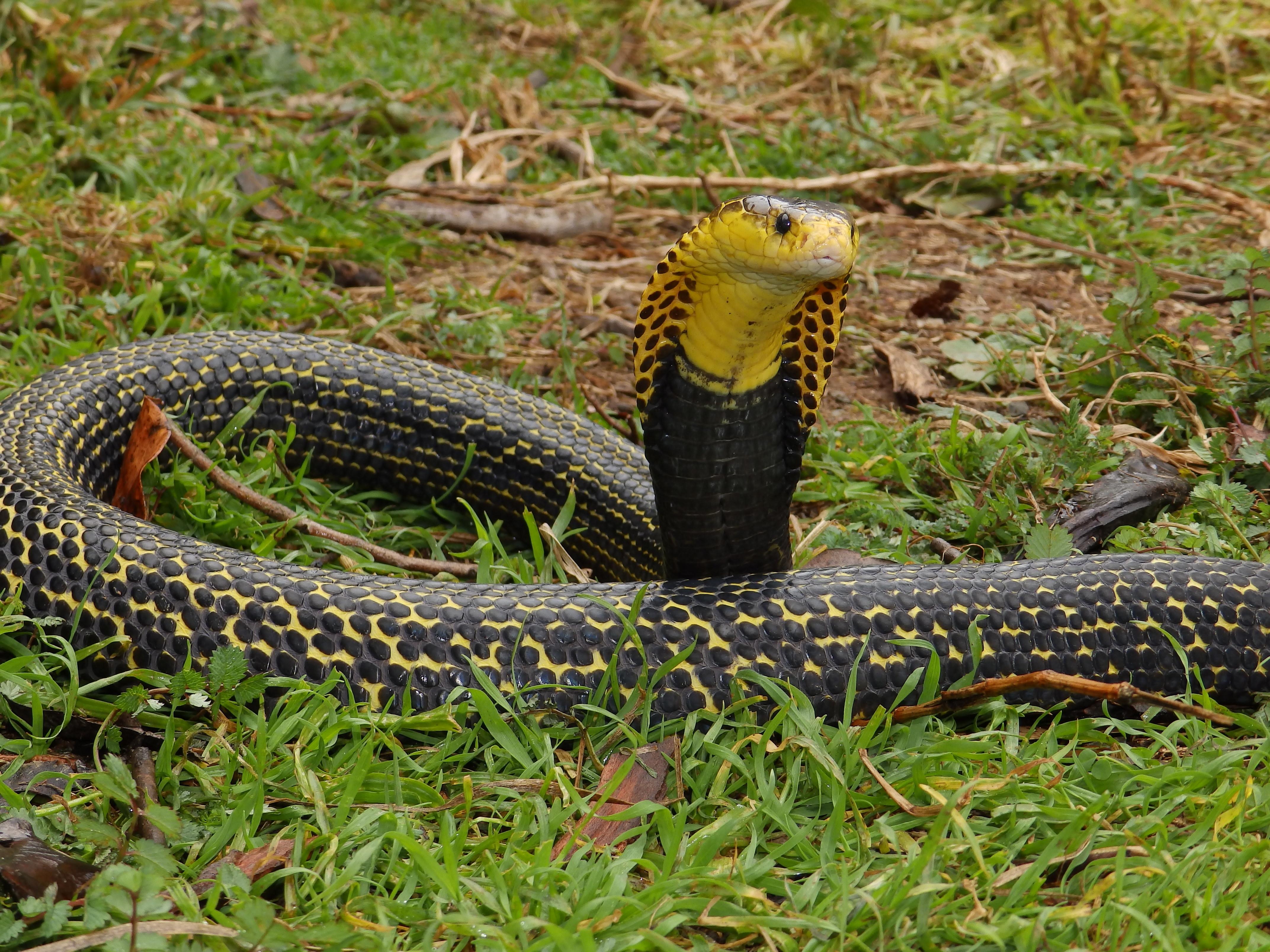 Copy (2) of P2240940.JPG