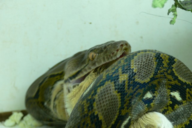 CORDERO 004_renamed_5557.jpg