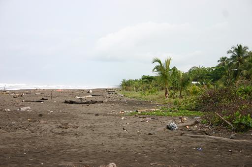 Costa Rica tortuguero.JPG