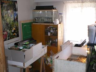 Cuarto bichos vista general.JPG