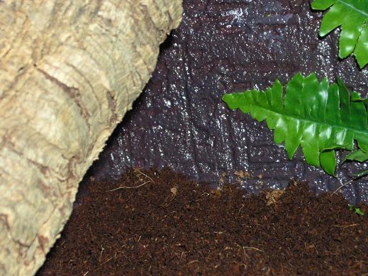 cueva en la zona caliente.JPG