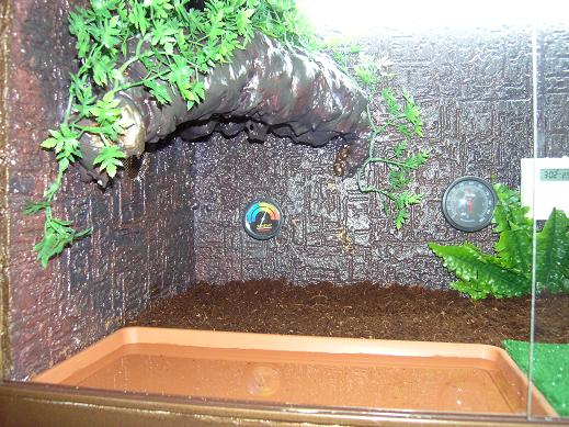 cueva en la zona fria.JPG